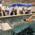 PISCINE & SPA - UNE FILIÈRE ATTRACTIVE QUI RECRUTE SUR DE NOMBREUX MÉTIERS ET DÉVELOPPE LES COMPÉTENCES DE SES PROFESSIONNELS 3